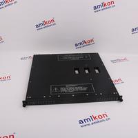 TRICONEX 3613E Distributed Control System (DCS)  | sales2@amikon.cn 